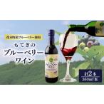 茂木産ブルーベリーを使用した ブルーベリーワイン360ml×2…