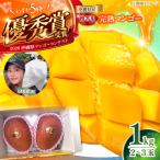 完熟マンゴー 1kg