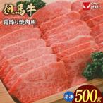 但馬牛 焼肉用 切り落とし 500g