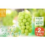ふるさと納税 シャインマスカット 約2kg 3〜4房 ［おぶせファーマーズ］ 果物 フルーツ ぶどう 葡萄 数量限定 先行予約 長野 信州 令和8年産 .. 長野県小布施町