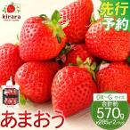 あまおう 約570g