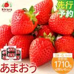 あまおう 約1710g