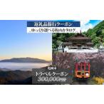 旅行クーポン 300,000円分