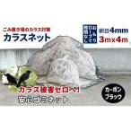 カラスネット 3×4m カーボンブラック