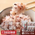 国内産 美人雑穀米 250g×6個