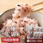 国内産 美人雑穀米 250g×6個