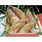 京筍 特選上物3kg 筍