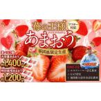 特別栽培 あまおう 1 200g