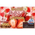 あまおう 600g