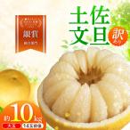 文旦 大玉 10キロ