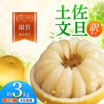文旦 大玉 3キロ