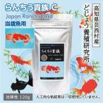 らんちう貴族C 120g