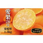 愛果28号 紅まどんな と同品種 約1.5kg