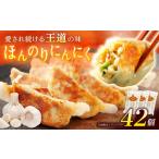 餃子屋ヒロのほんのりにんにく餃子 ぎょうざ