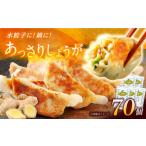 餃子屋ヒロのしょうが餃子 ぎょうざ