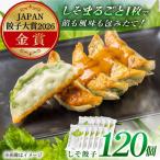 餃子屋ヒロののしそ餃子 ぎょうざ