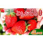 とちおとめ 320g×2パック