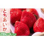 いちご とちあいか 平積み 約290g×4パック
