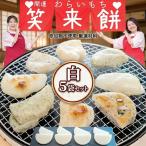 餅 セット 8個入り