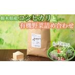 農薬不使用 産コシヒカリ令和6年産白米3kgと有機野菜6~7品…