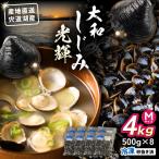 しじみ 食べる分だけさっと使える 宍道湖産