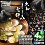 しじみ 宍道湖産 冷凍大和しじみLサイズ4kg 500g×8