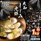 しじみ 宍道湖産 冷凍大和しじみMサイズ1kg 500g×2