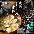 しじみ 宍道湖産 冷凍大和しじみLサイズ1kg 500g×2