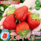 生産農家直送 高級品種☆無選別訳あり 冷凍