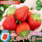 生産農家直送高級品種☆無選別訳あり 冷凍