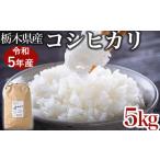 令和5年産お米5kg 農薬不使用 産コシヒカリ