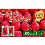 こだわり とちおとめ いちご ※2026年11月~発送