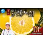樹上 完熟 さつき 八朔 和歌山 由良産 秀品 10kg