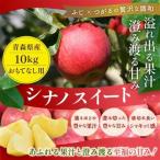 青森りんご平均糖度13度以上 シナノスイート 約10kg