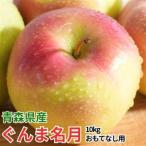 平均糖度13度以上 ぐんま名月 約10kg