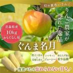 平均糖度13度以上 サンふじ 約10kg