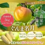 平均糖度13度以上 サンふじ 約5kg