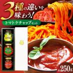 ケチャップセット3種 〈リサトマトケチャップ
