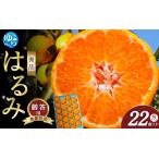 はるみ 和歌山 みかん 秀品 Mサイズ 22個入り