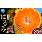 はるみ 和歌山 みかん 秀品 Lサイズ 20個入り