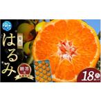 はるみ 和歌山 みかん 秀品 2Lサイズ 18個入り