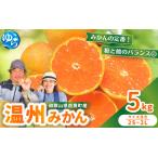 温州みかん 5kg