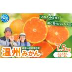 薄皮で濃い甘さ 完熟由良みかん 7.5kg×1箱