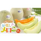 ふるさと納税 【令和7年産先行予約】 お楽しみメロン 3玉セット 2Lサイズ 山形県 庄内産 砂丘メロン 三昧 アンデスメロン・鶴姫メロン・鶴姫レッ.. 山形県鶴岡市