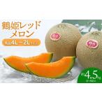 ふるさと納税 【令和7年産先行予約】 鶴姫レッドメロン 約4.5kg(3玉〜5玉) 秀品 4L〜2L K-743 JA鶴岡 赤肉メロン 山形県鶴岡市