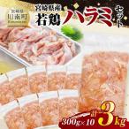 産若鶏 ハラミ3kg 300g×10