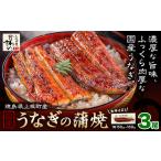 ふるさと納税 うなぎ屋かわすい 国産うなぎの蒲焼 計3尾 (1尾150g-169g) 川口水産株式会社《30日以内に出荷予定(土日祝除く)》徳島県 上板町 鰻 .. 徳島県上板町
