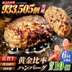 6回定期便 黒毛和牛ハンバーグ 140g×10