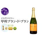 ふるさと納税 ワイン イケダワイナリー 甲州 ブラン・ド・ブラン（MG）A09-481 山梨県甲州市