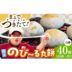 産もち米100%自慢の杵つき丸白餅 冷凍 計40個入